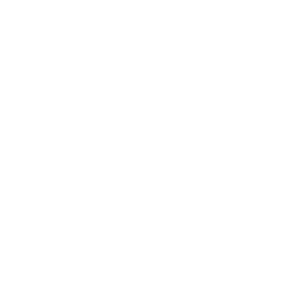 Vision icon